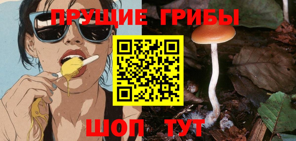 Галлюциногенные грибы Cubensis Искитим