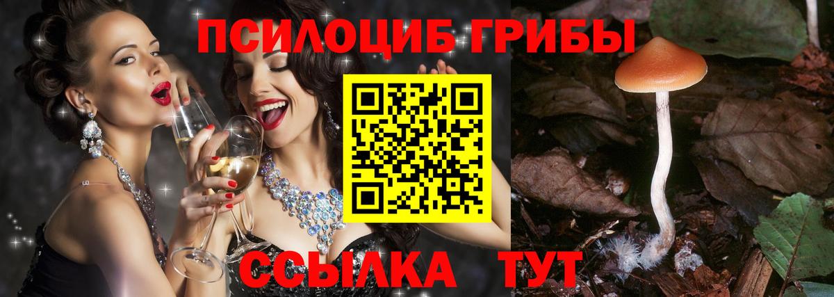 купить наркотик  Галлюциногенные грибы GOLDEN TEACHER  Вход с VPN  Искитим 
